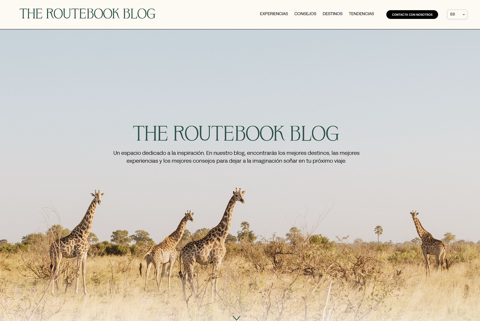 De Squarespace a WordPress